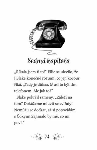 Ukázka