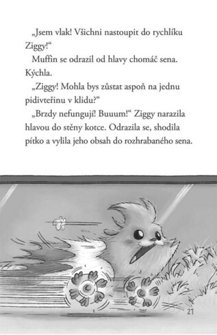 Ukázka