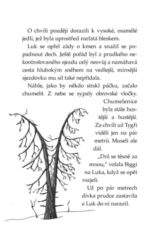 Ukázka