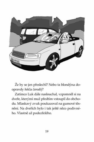 Ukázka