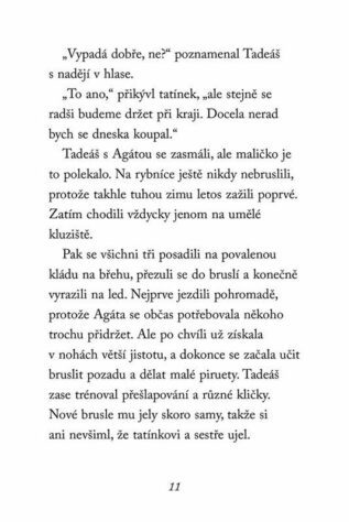 Ukázka