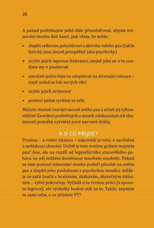 Ukázka