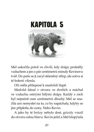Ukázka