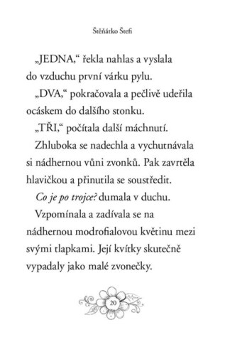 Ukázka