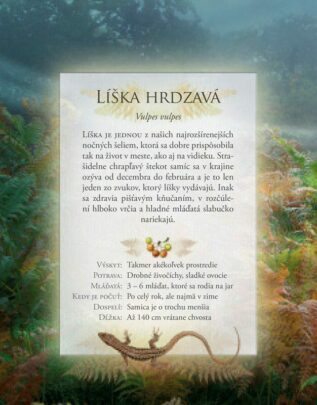 Ukázka