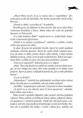 Ukázka
