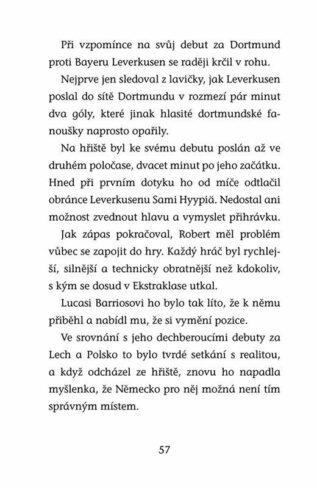 Ukázka