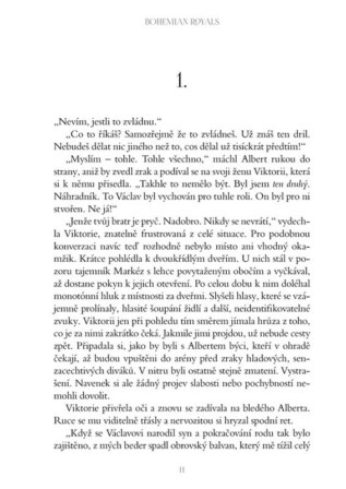 Ukázka