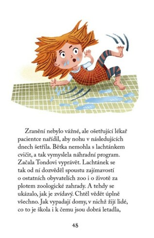 Ukázka