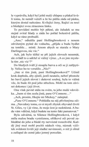 Ukázka