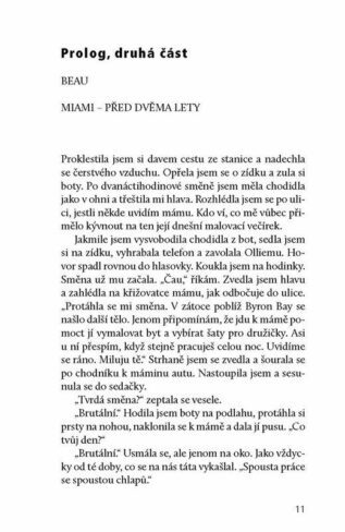 Ukázka