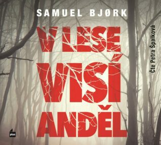 V lese visí anděl (audiokniha) - CD audio