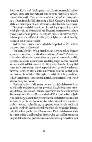 Ukázka