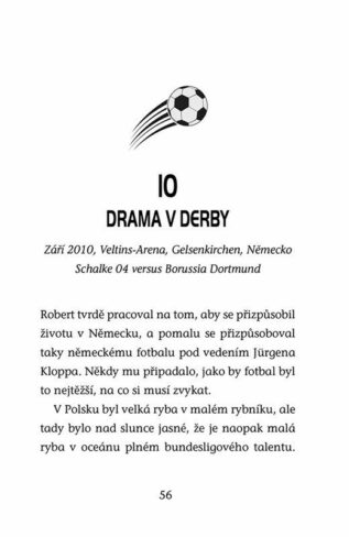 Ukázka