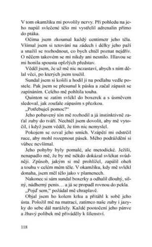 Ukázka