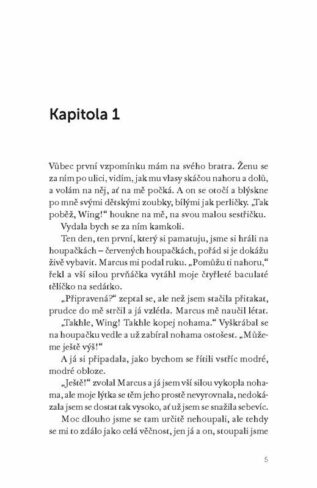 Ukázka