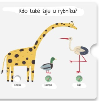 Ukázka