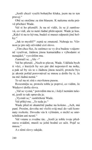 Ukázka