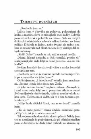 Ukázka