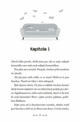 Ukázka