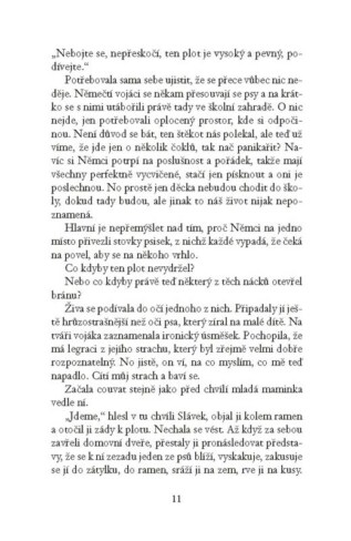 Ukázka