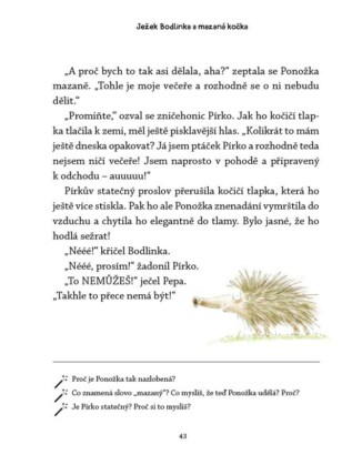 Ukázka