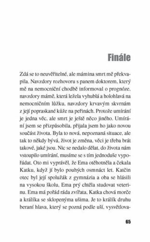 Ukázka