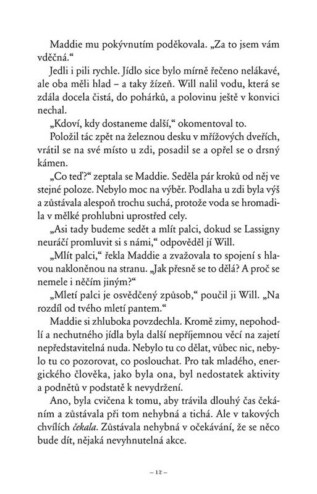 Ukázka