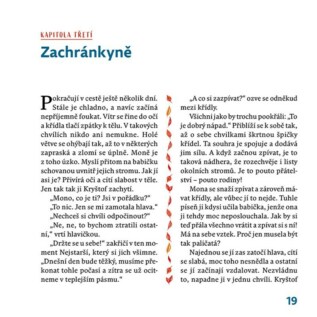 Ukázka