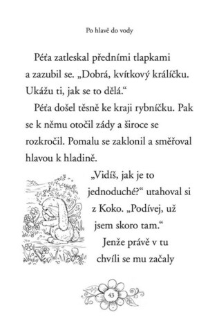 Ukázka
