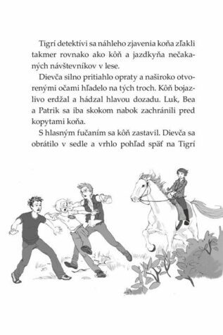 Ukázka