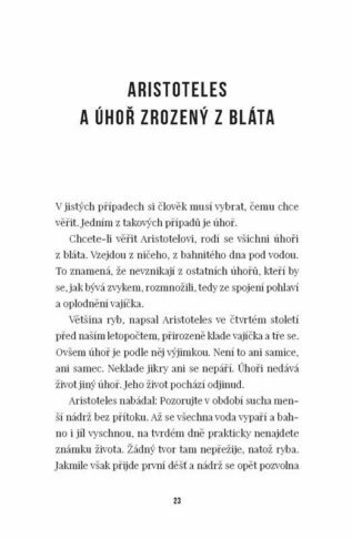 Ukázka