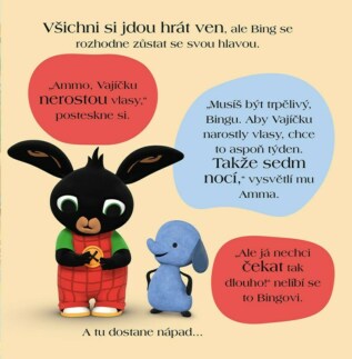 Ukázka
