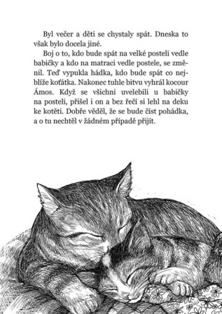 Ukázka