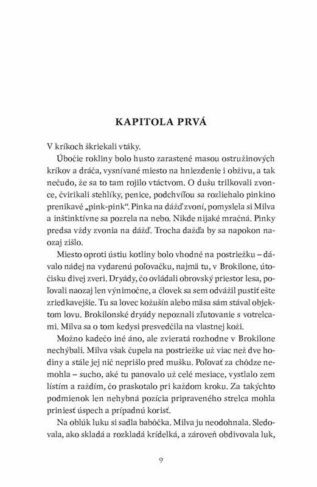 Ukázka