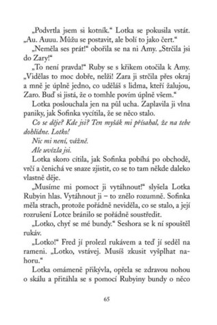Ukázka