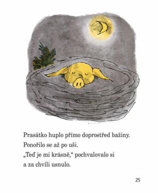 Ukázka