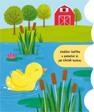 Ukázka