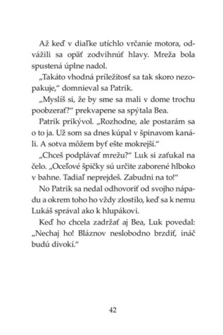 Ukázka