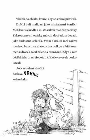 Ukázka