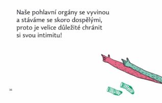 Ukázka