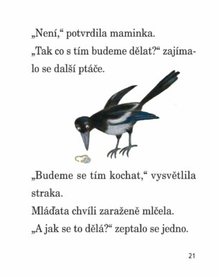 Ukázka