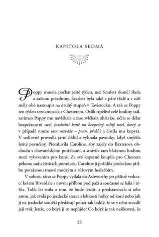 Ukázka