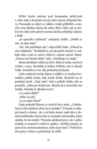 Ukázka