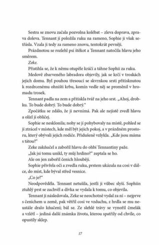 Ukázka