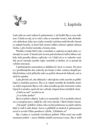 Ukázka
