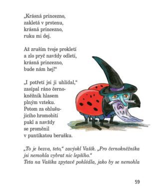 Ukázka