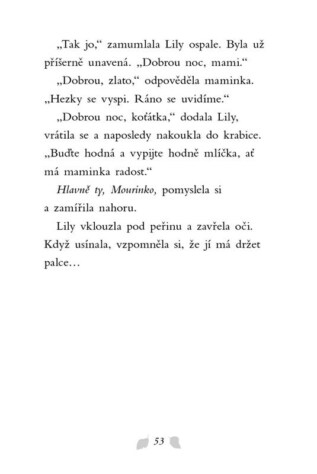 Ukázka