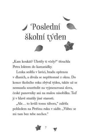 Ukázka
