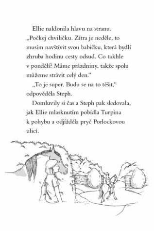 Ukázka